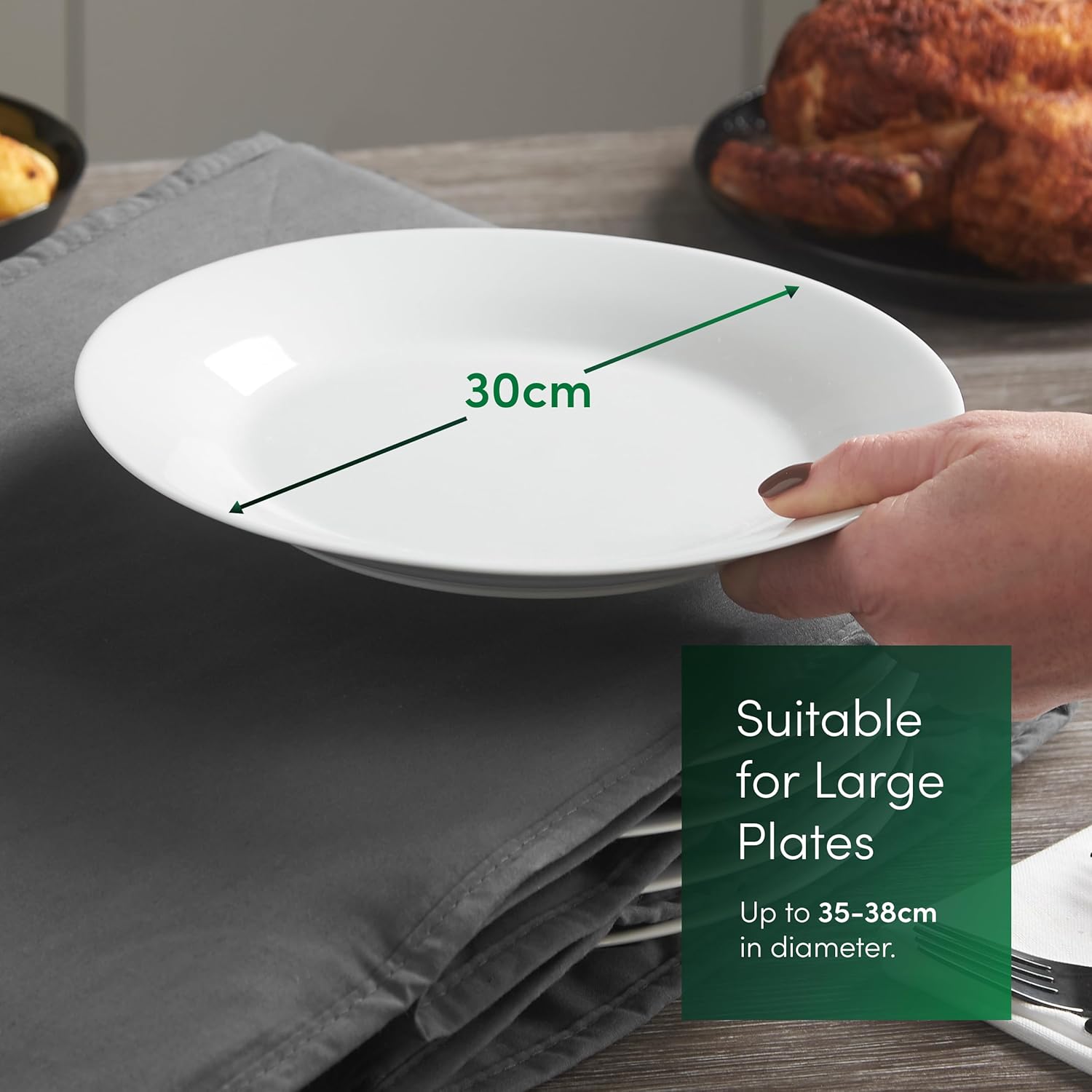 Plate Warmer