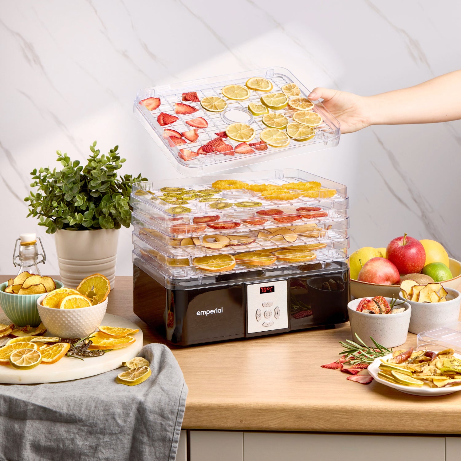 5-Tier Food Dehydrator