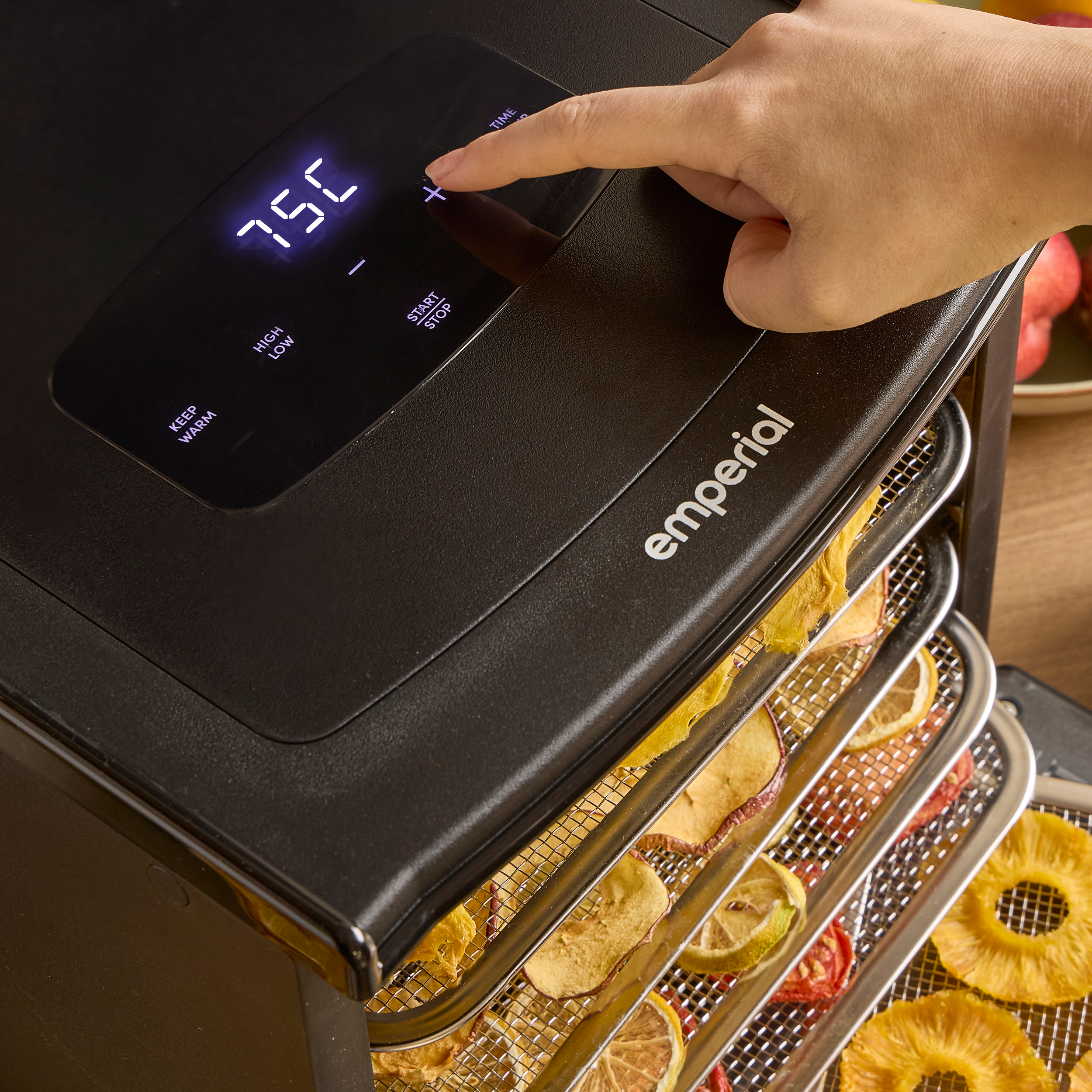 6 Tier Food Dehydrator