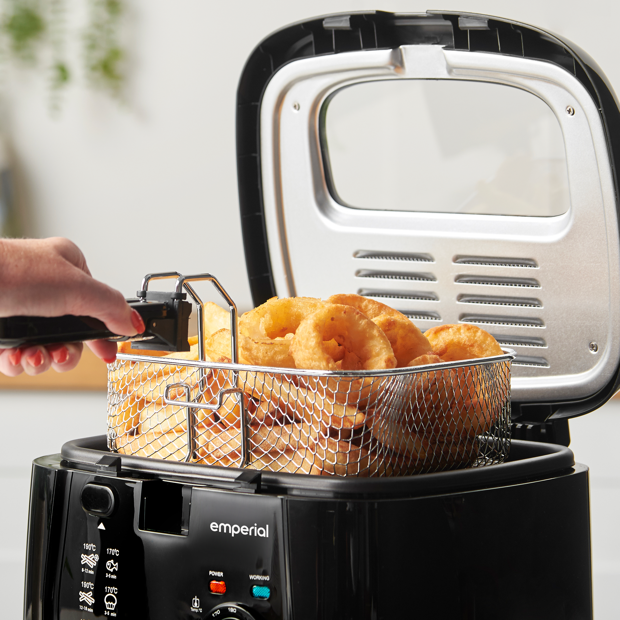 deep fat fryer