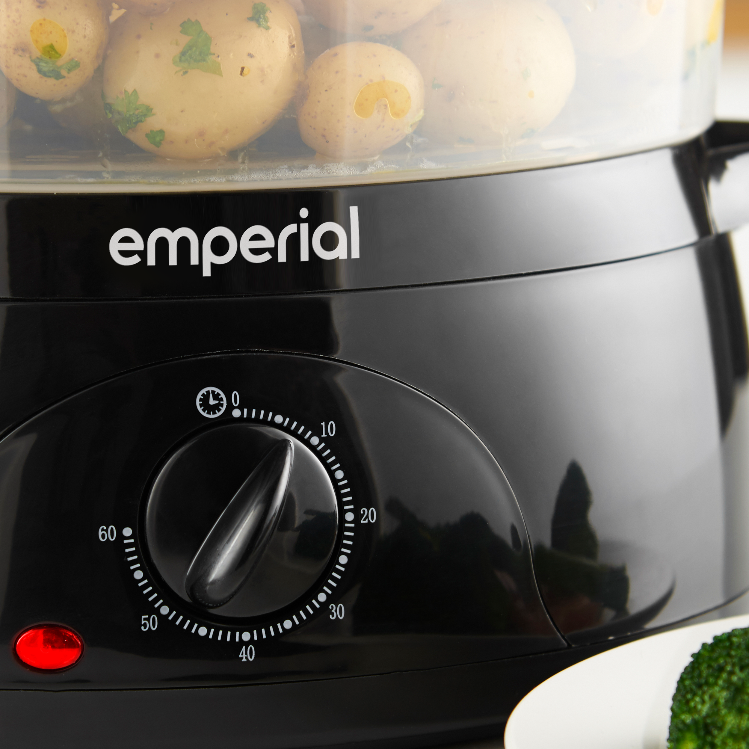 food steamer