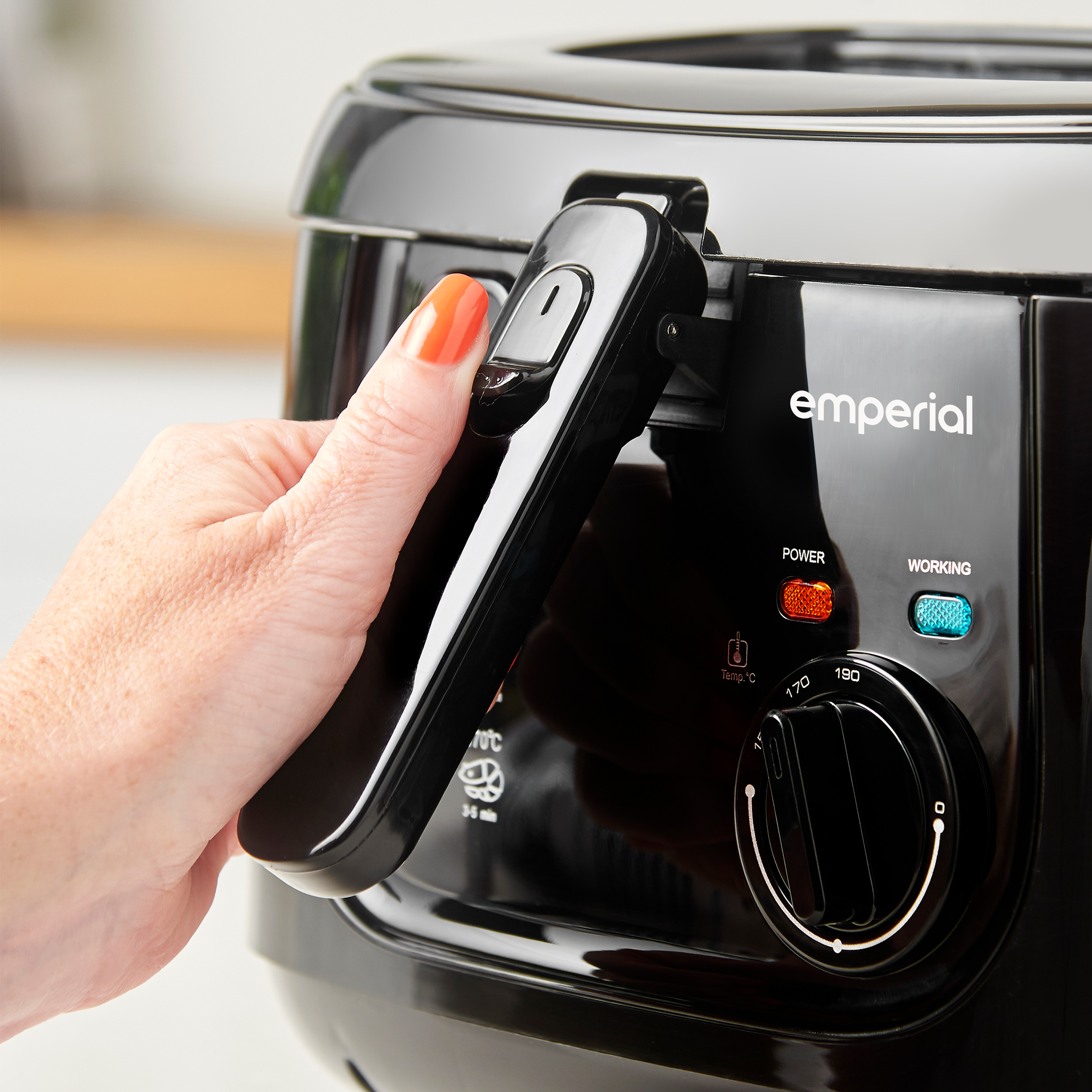 deep fat fryer