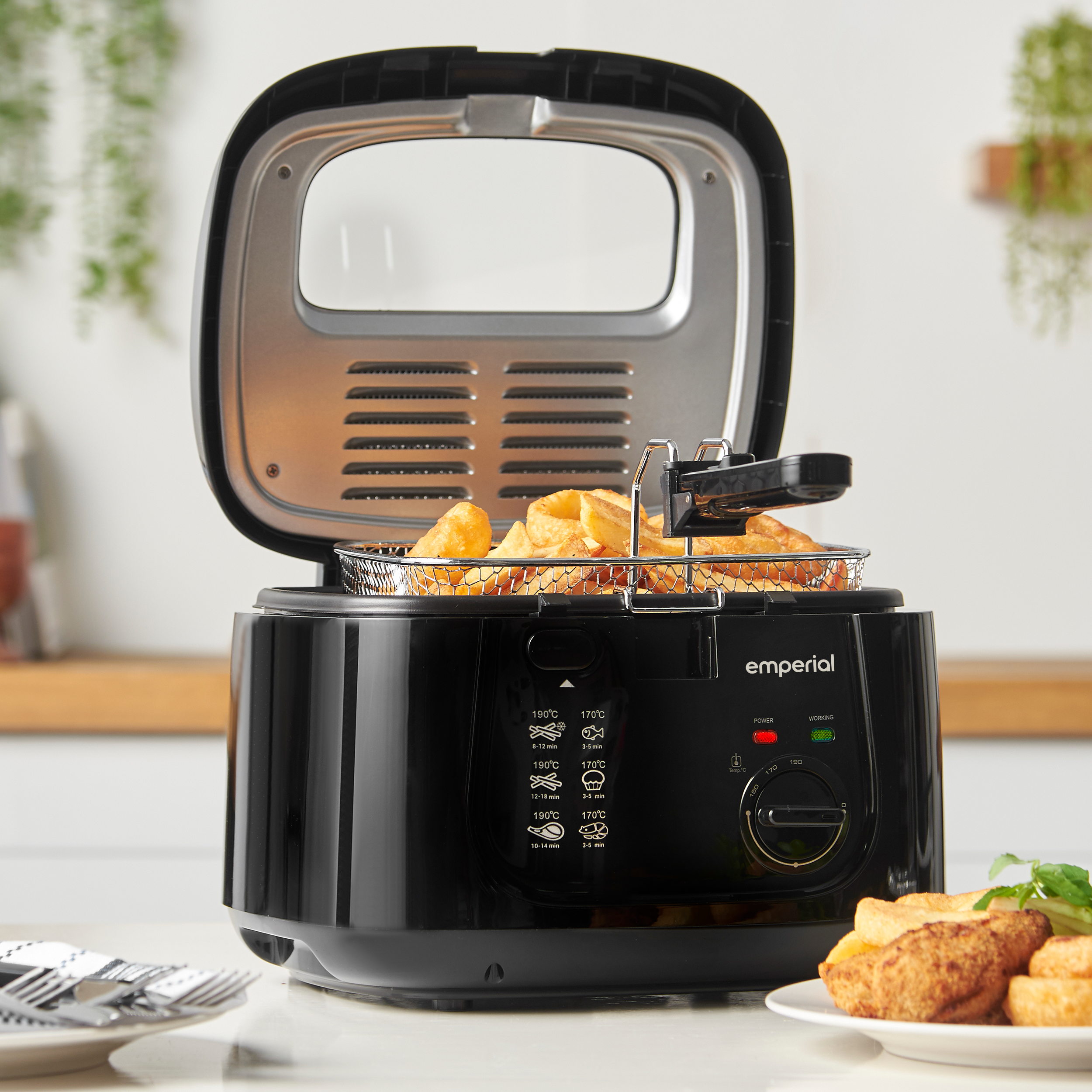 deep fat fryer