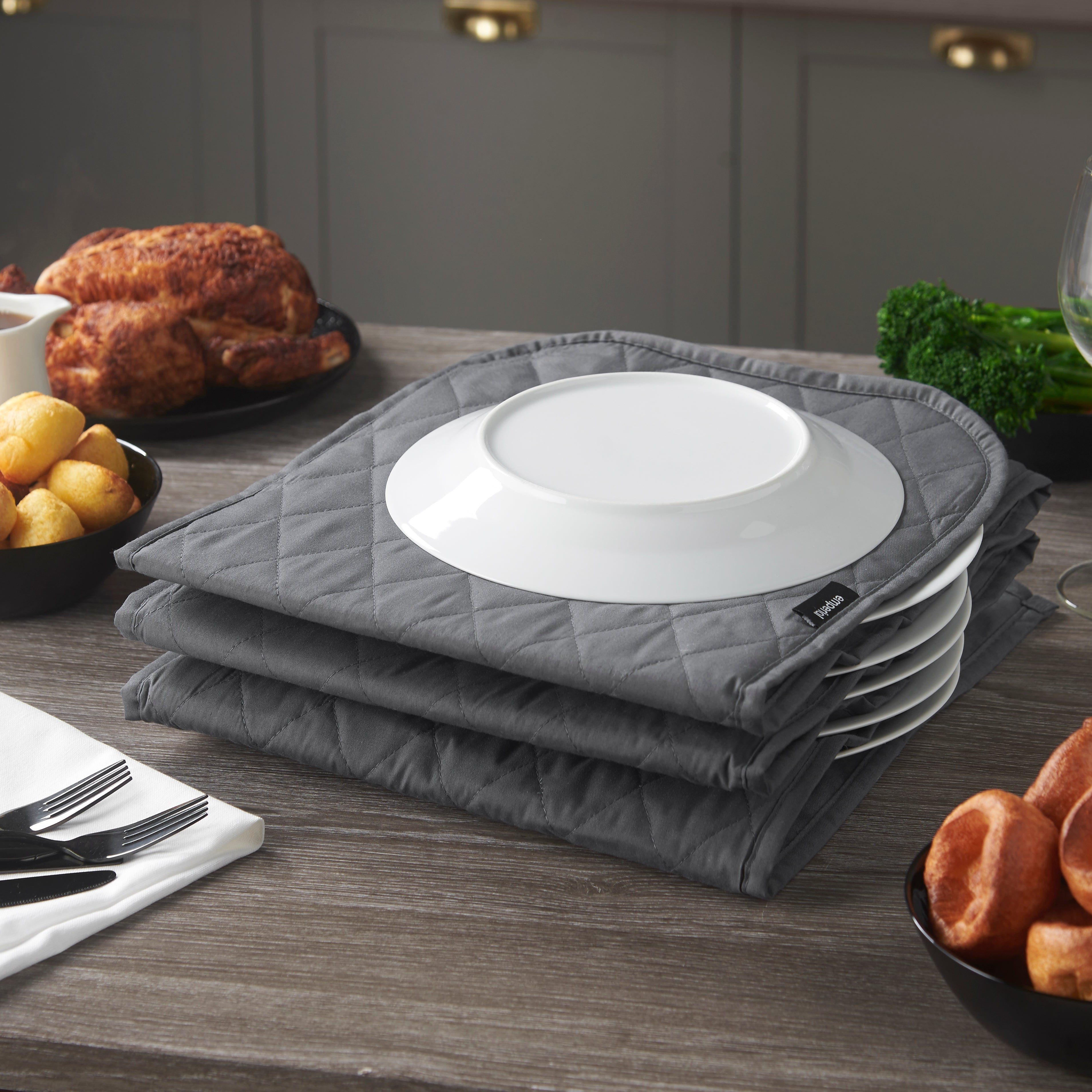Plate Warmer