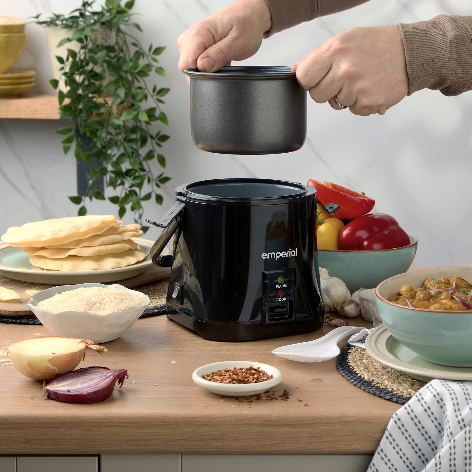 Electric Rice Cooker