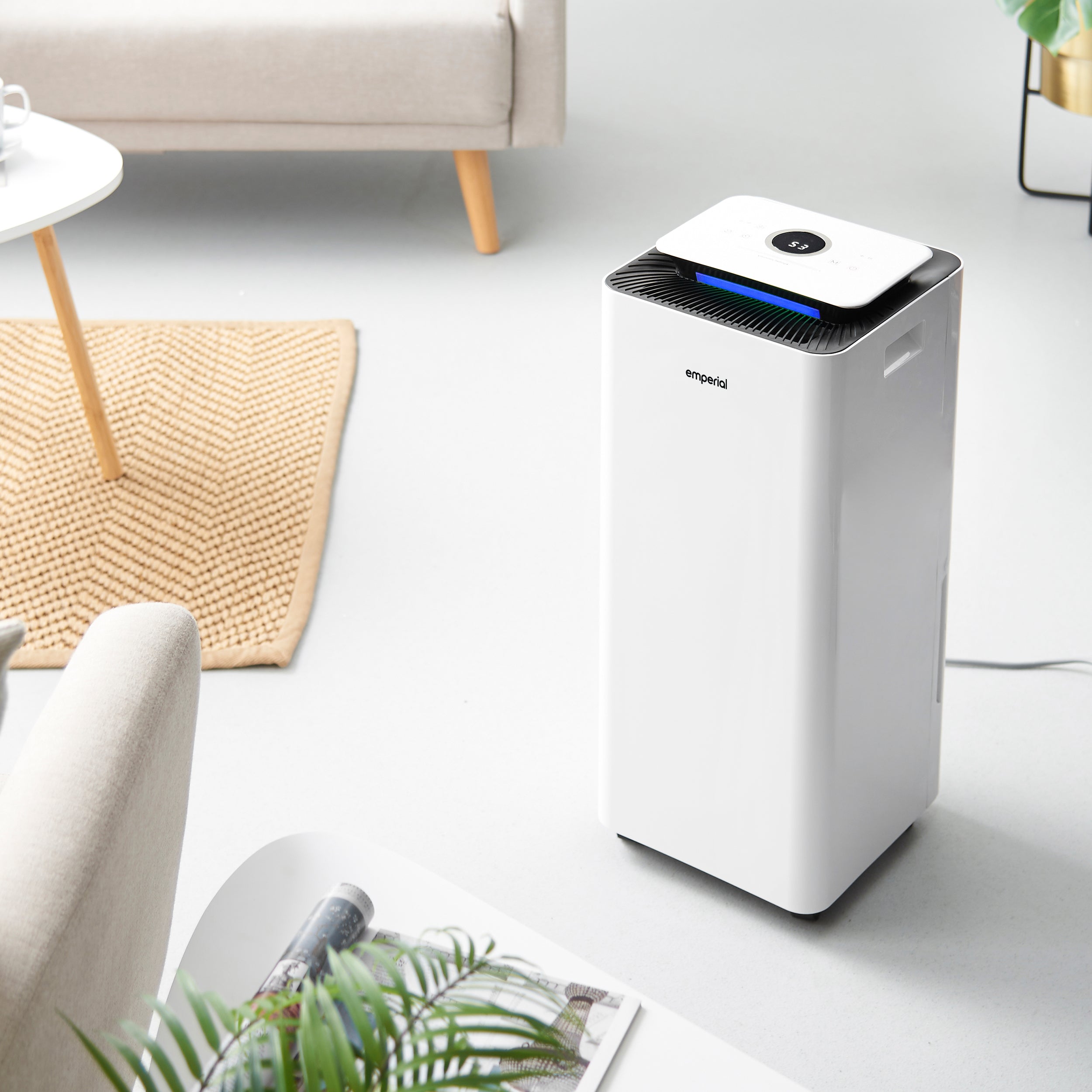 20L Dehumidifier with Digital Humidity Display