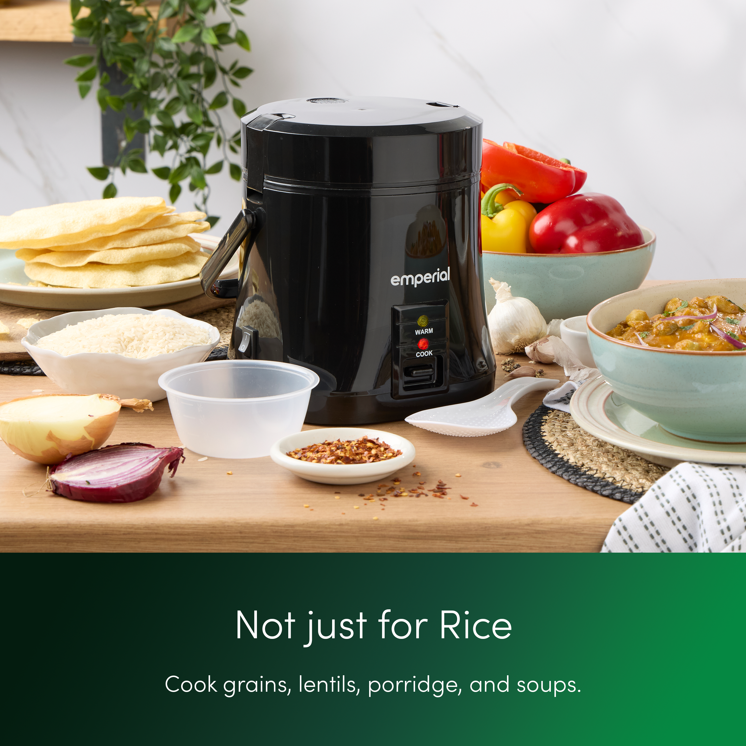 Electric Rice Cooker