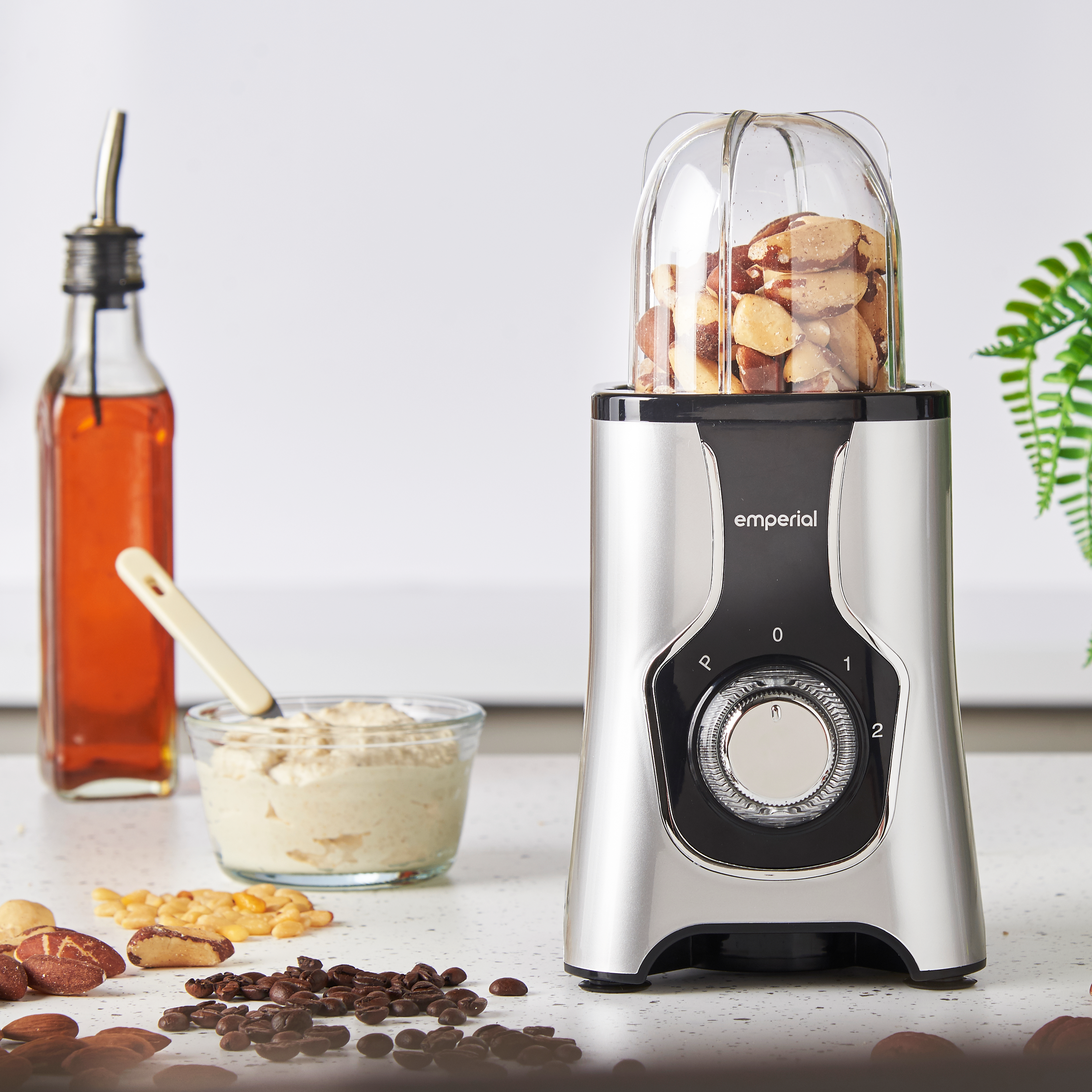4-in-1 Blender & Smoothie Maker