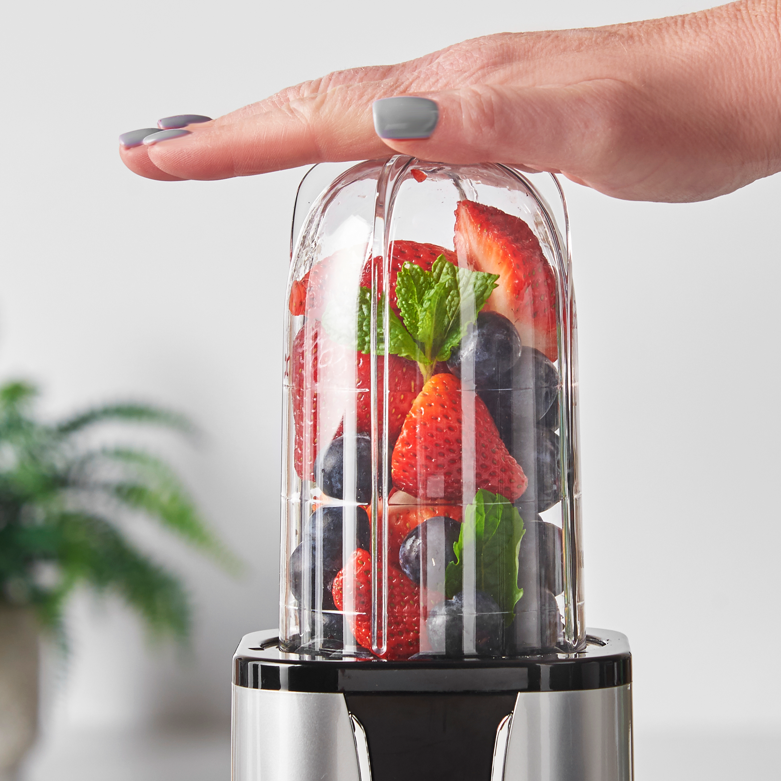 4-in-1 Blender & Smoothie Maker