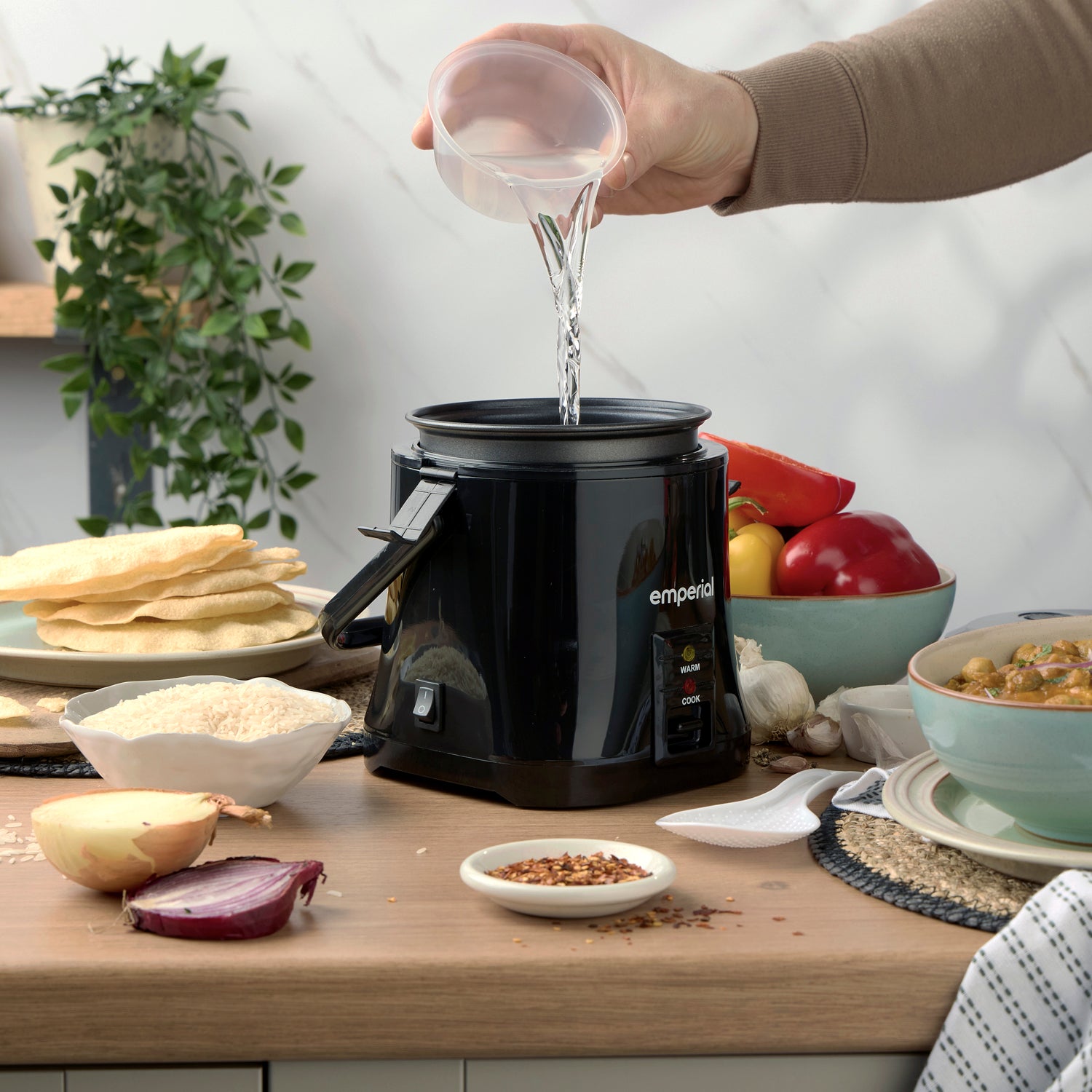 Electric Rice Cooker