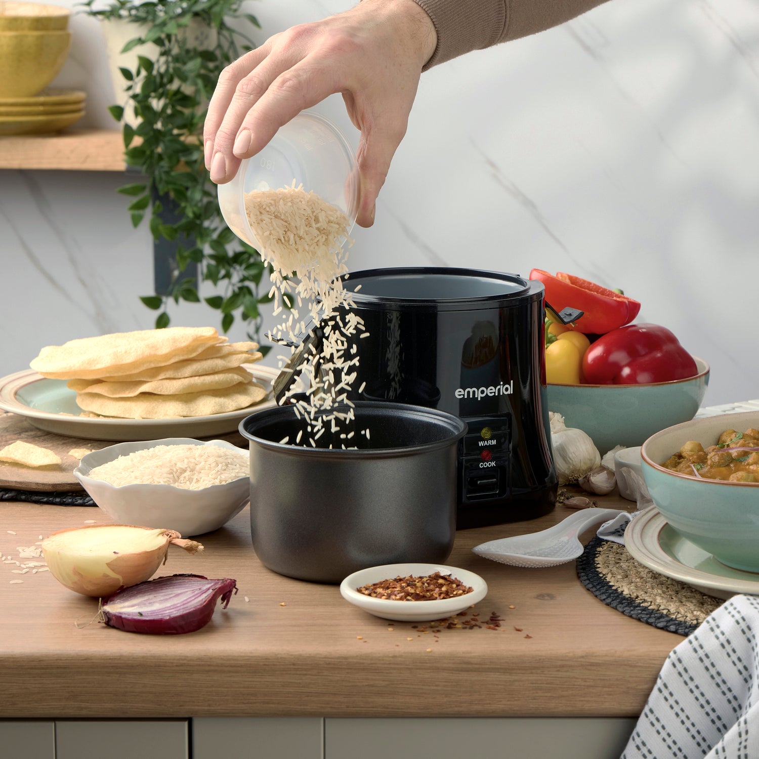 Electric Rice Cooker